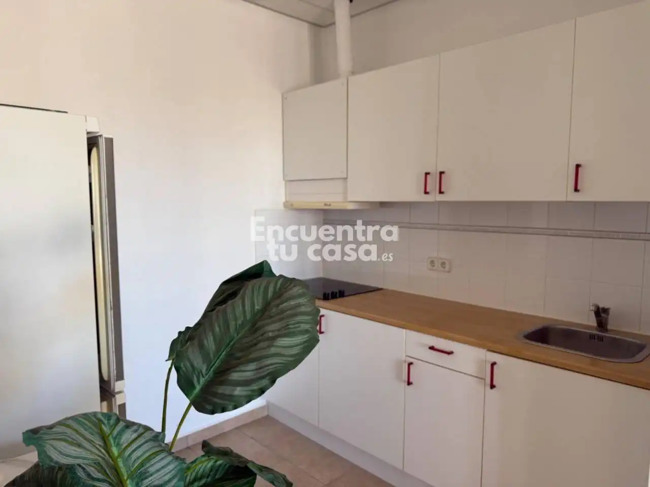 Chalet con piscina en venta en Rambla LES CUCARRES, imagen 26