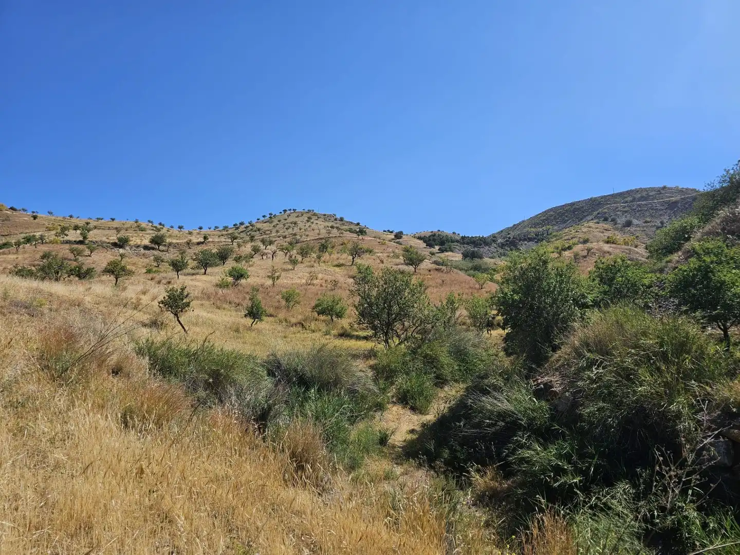 Country homes for sale in Lújar  with Private garden