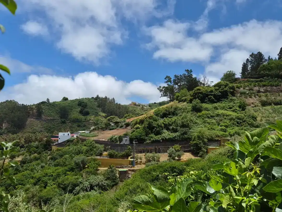 Vista exterior de Planta baixa en venda en Moya (Las Palmas) amb Jardí privat, Parquet i Traster