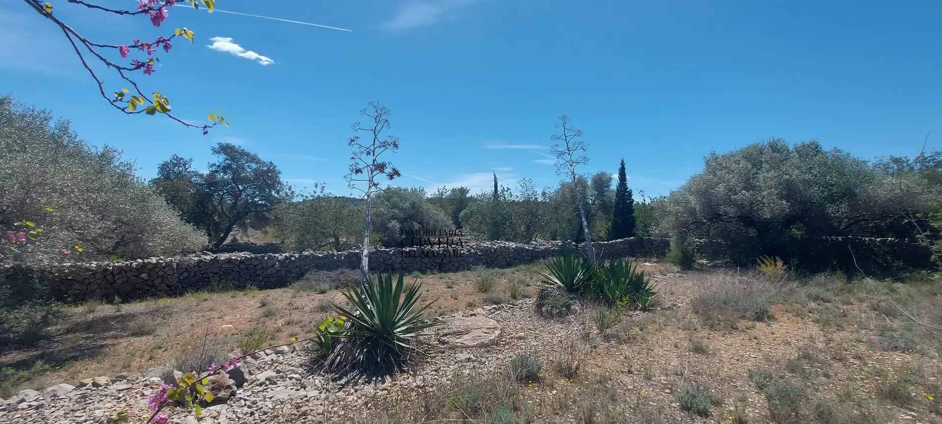 Terreno rustico in vendita a Cervera del Maestre, imagen 14