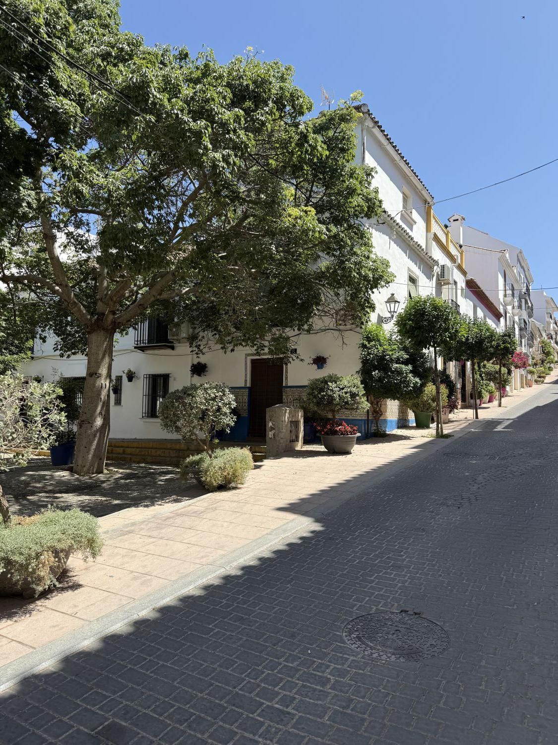 Exterior view of House or chalet for sale in Estepona  with Balcony
