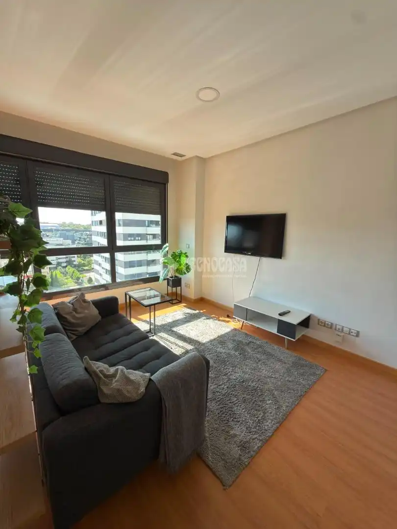 Sala d'estar de Estudi en venda en Madrid amb Calefacció i Traster