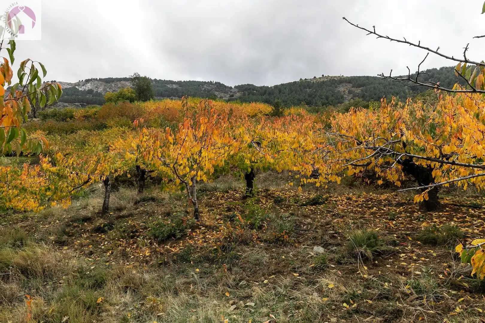 Lands and plots for sale in Güéjar Sierra, imagen 21