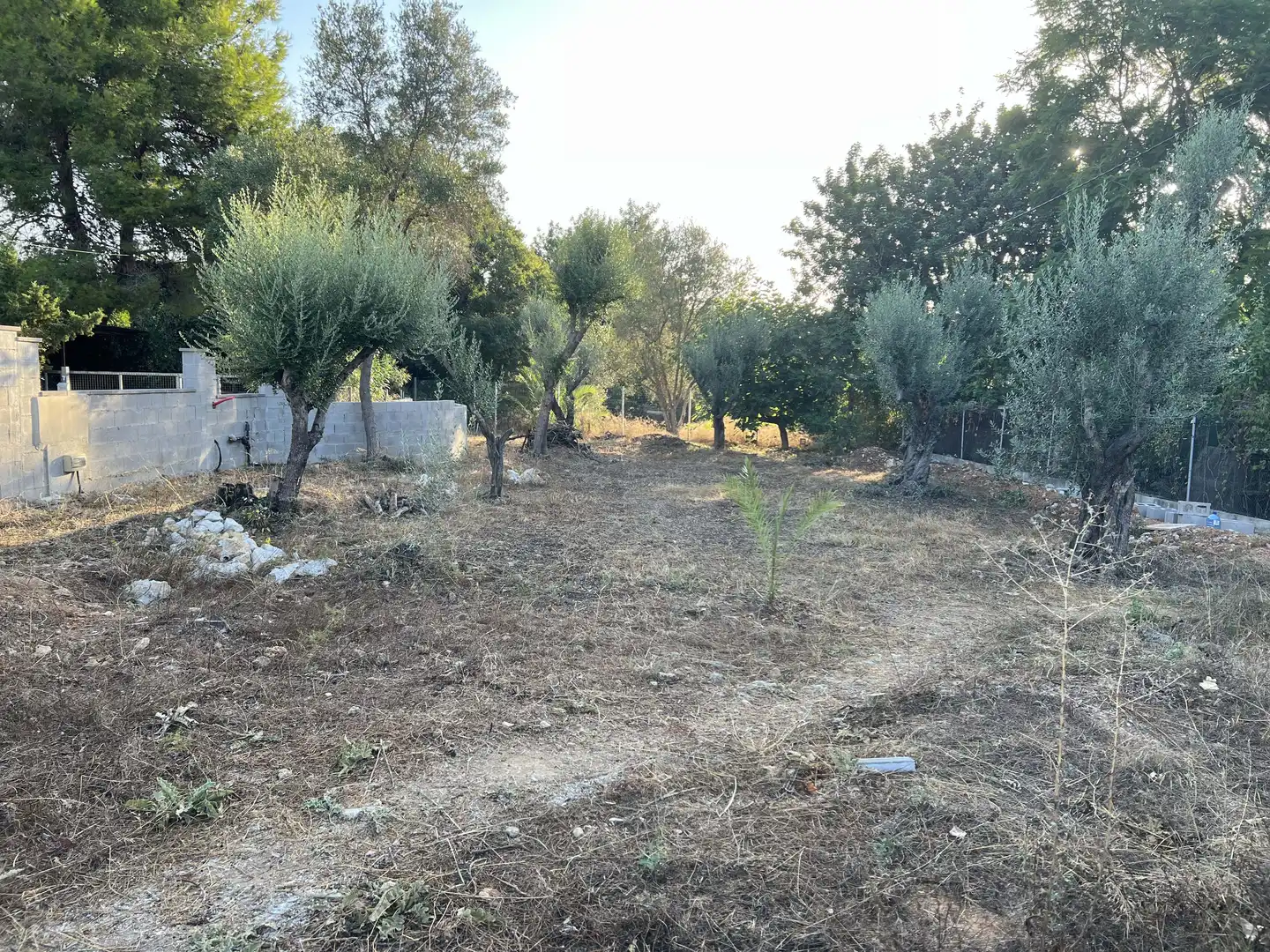 Terreny residencial en venda a Beniarbeig, imagen 3