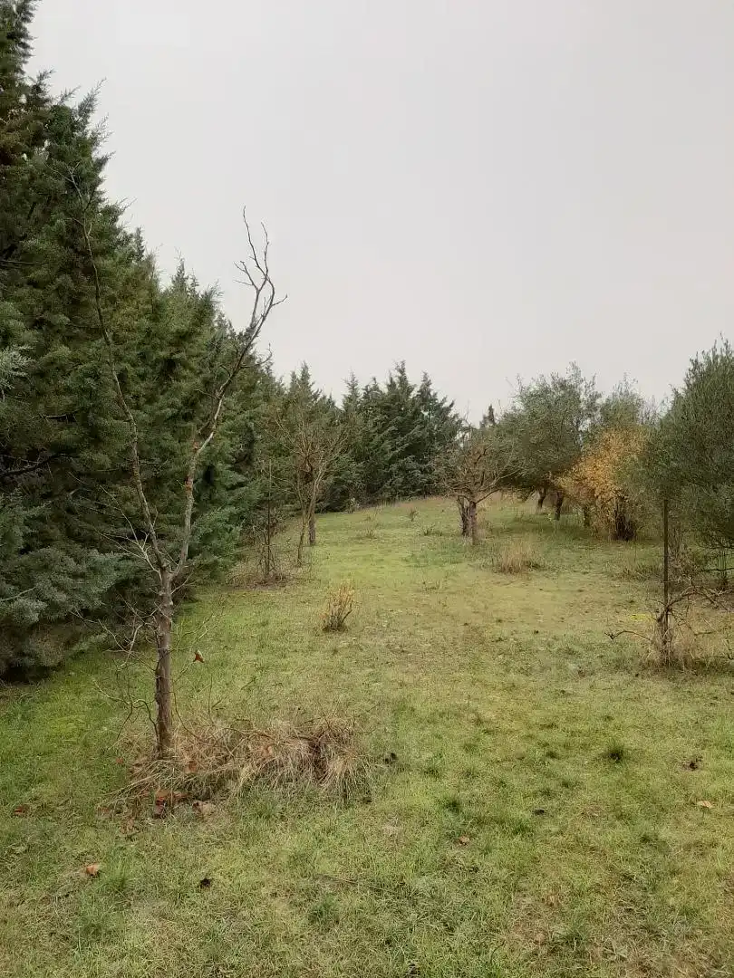 Finca rústica en venda en Barásoain amb Jardí privat i Piscina