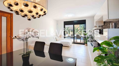 Moderna casa con piscina y pequeño jardín, imatge 5