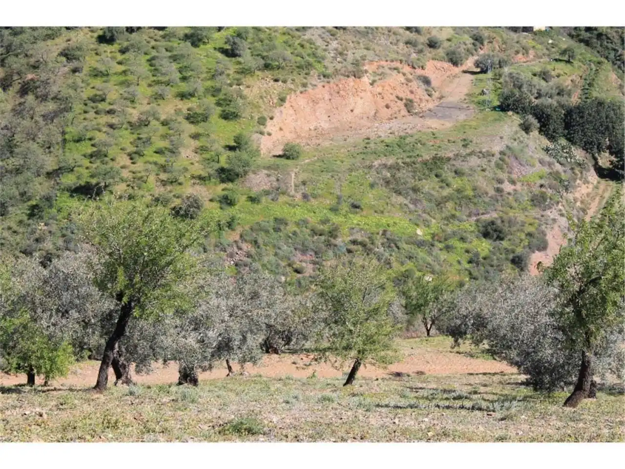 Terreni e lotti in vendita a Totalán, imagen 7