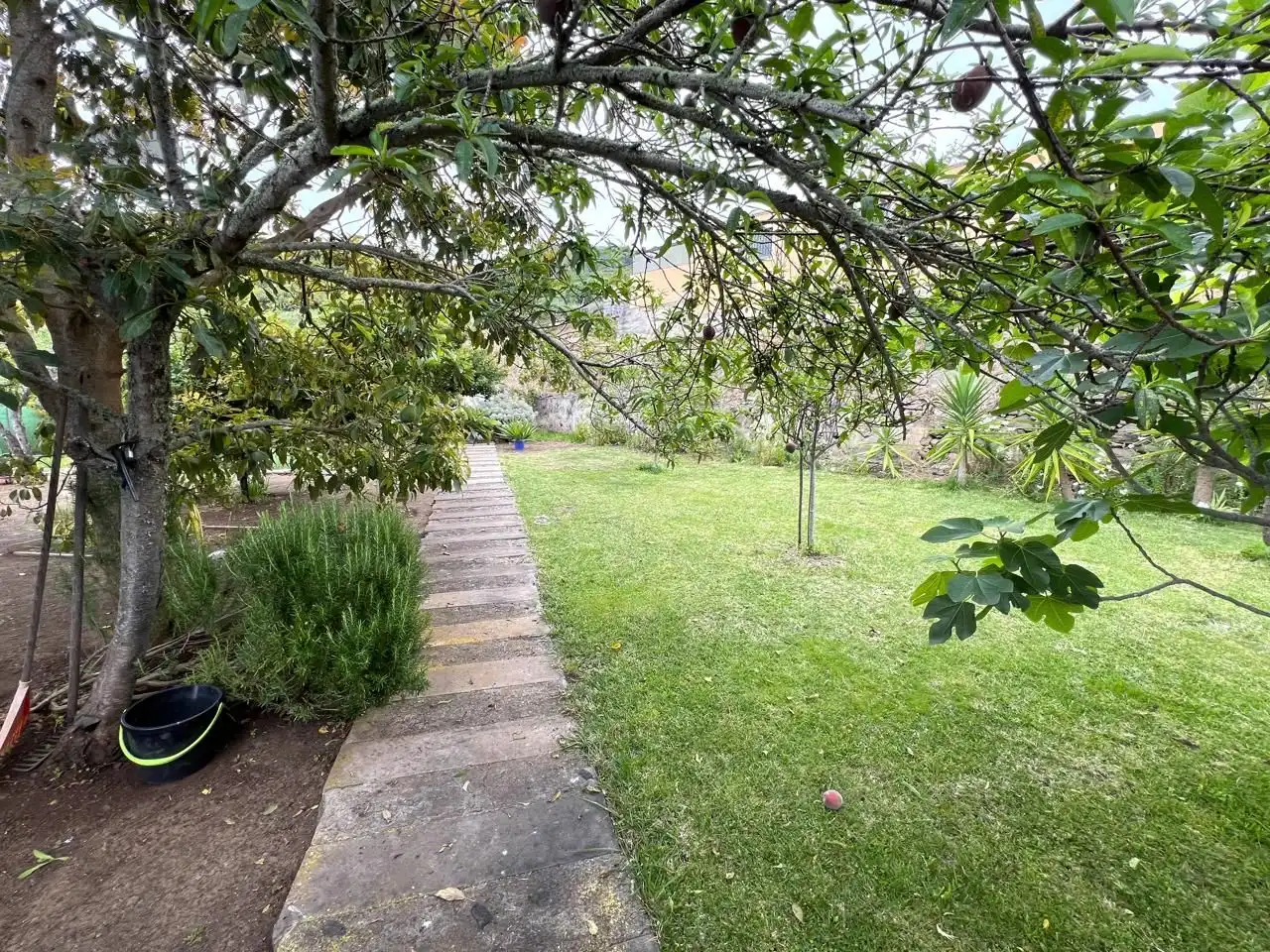 Maison rustique avec jardin à vendre à La Vega - El Amparo - Cueva del Viento, imagen 27