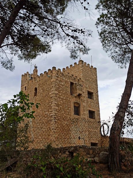 Exterior view of Houses for sale in Alcanar  with Private garden and Swimming Pool