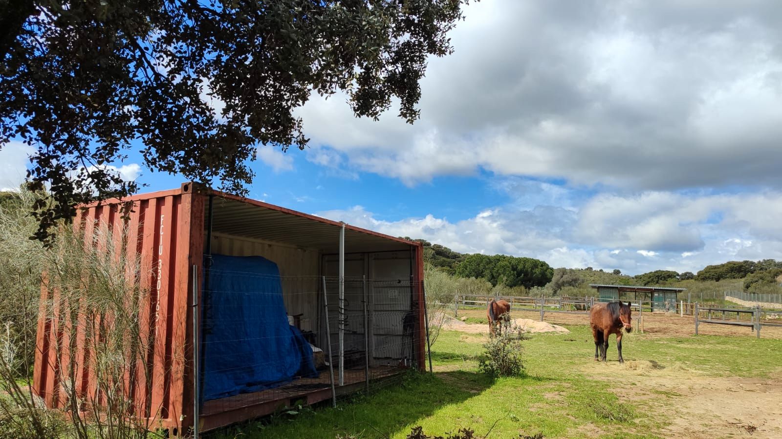 Exterior view of Land for sale in Valdemorillo