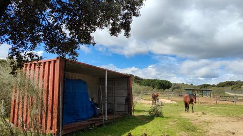 Foto 3 de Terreno en venta en Pino Alto - Navarredonda, Valdemorillo