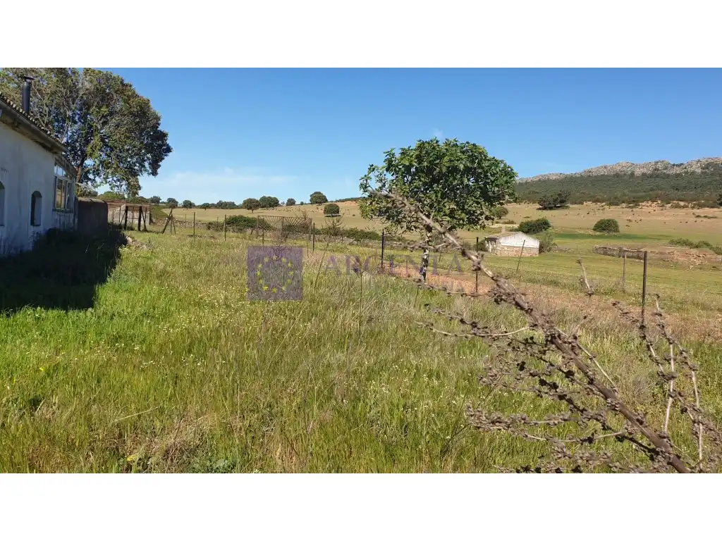 Houses for sale in Plaza Manuel De Falla, Zona Norte - Hospital - Urbanizaciones