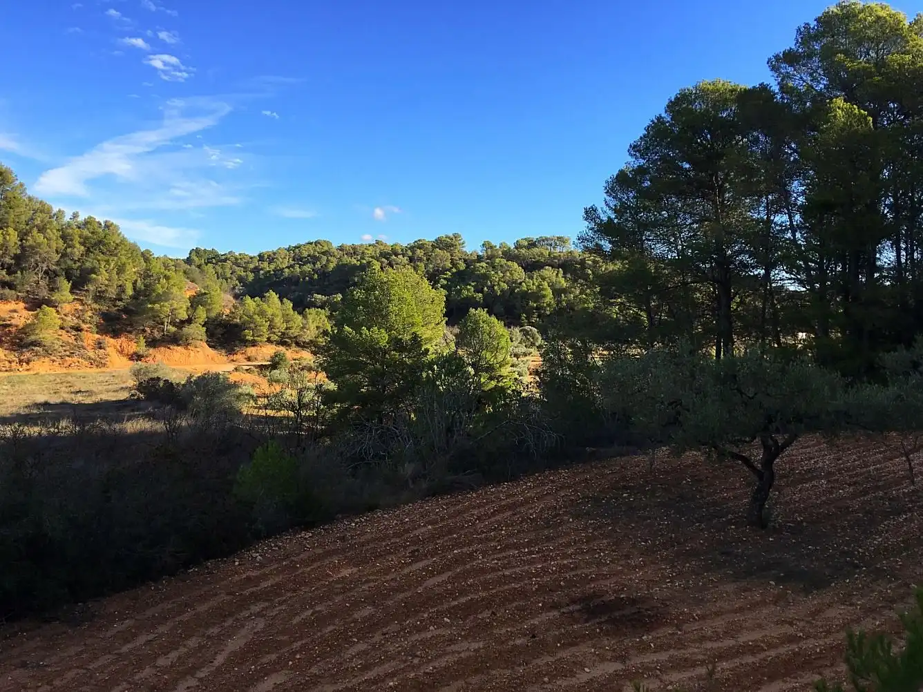 Maison à vendre à El Pinell de Brai, imagen 18