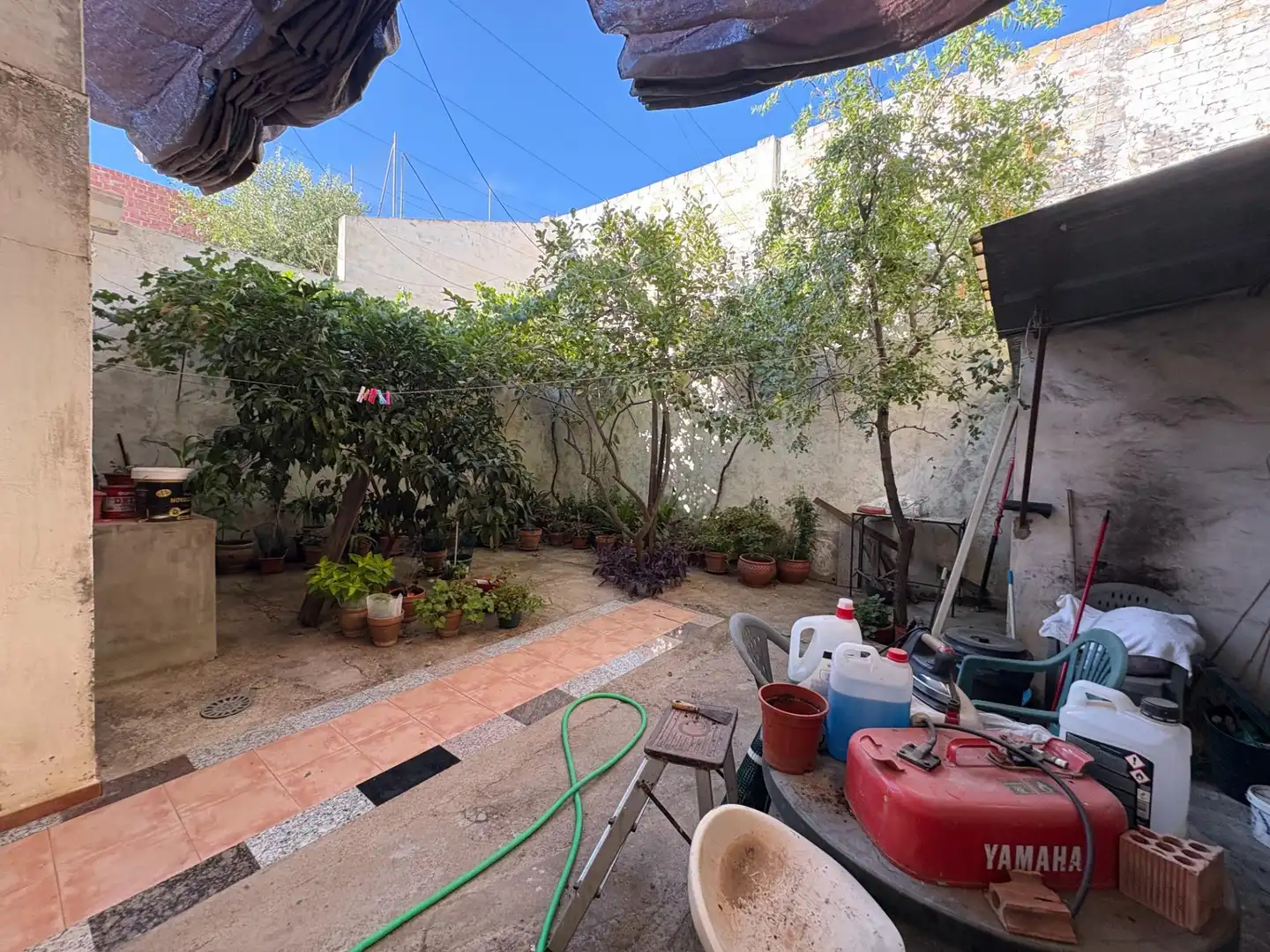 Jardín de Casa o chalet en venta en El Viso del Alcor