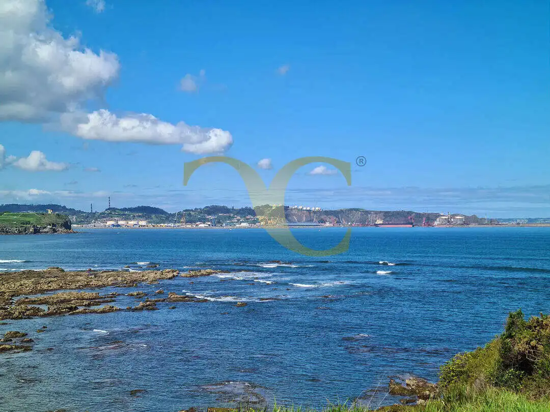 Vista exterior de Casa o chalet en venta en Gijón  con Calefacción, Jardín privado y Terraza