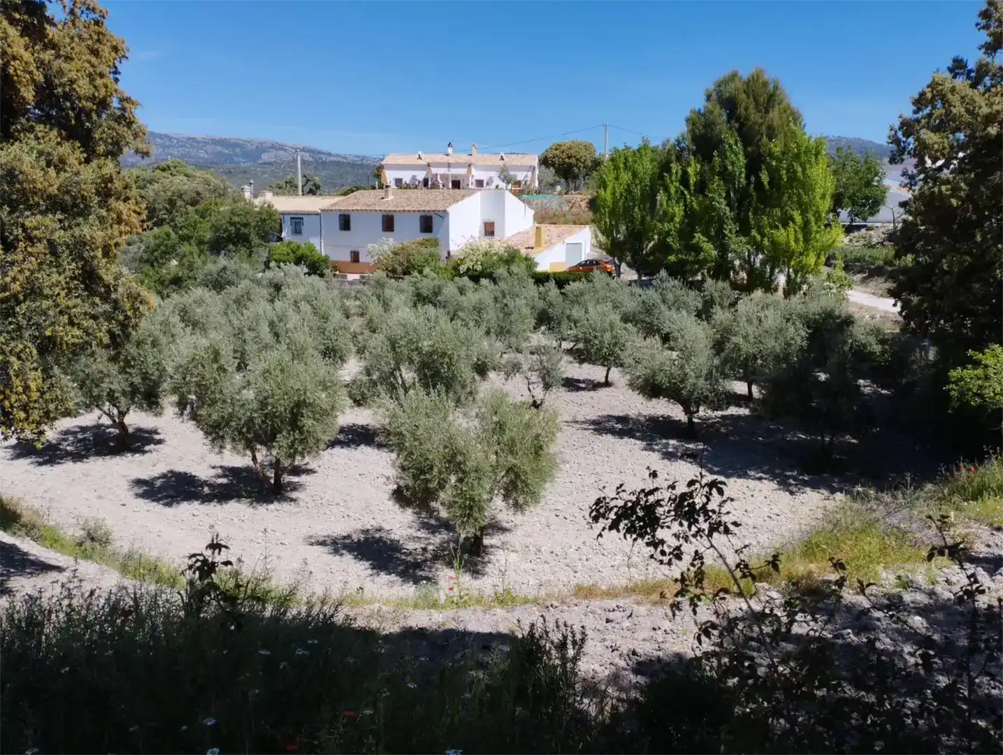 Vista exterior de Piso en venta en Pozo Alcón