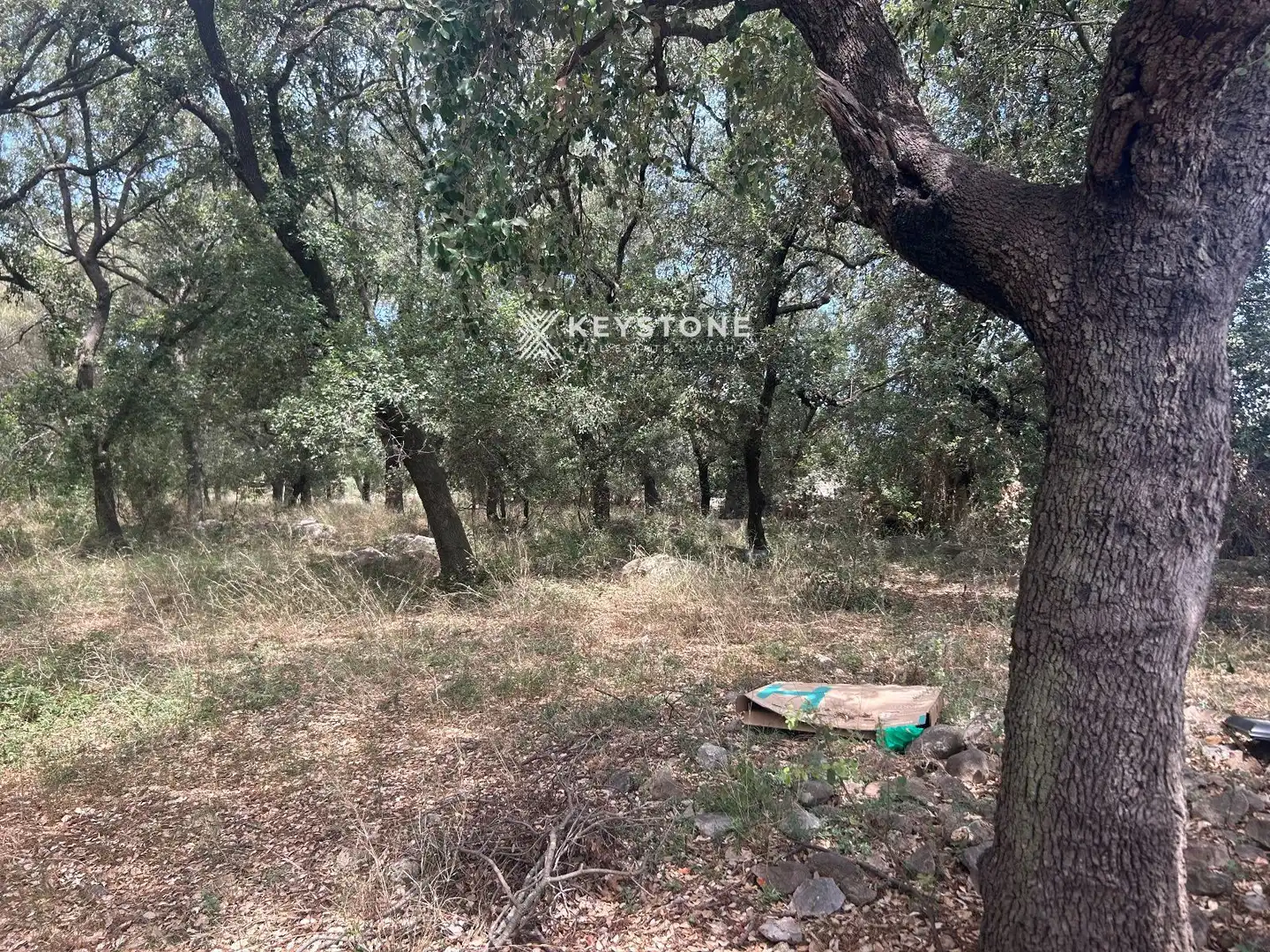 Residencial en venta en Búger