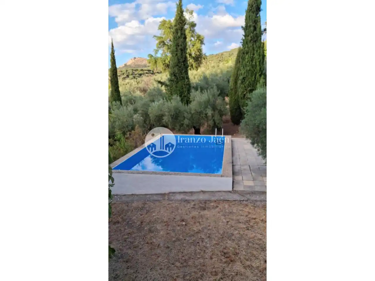 Piscina de Casa o chalet en venta en Los Villares con Jardín privado, Terraza y Piscina