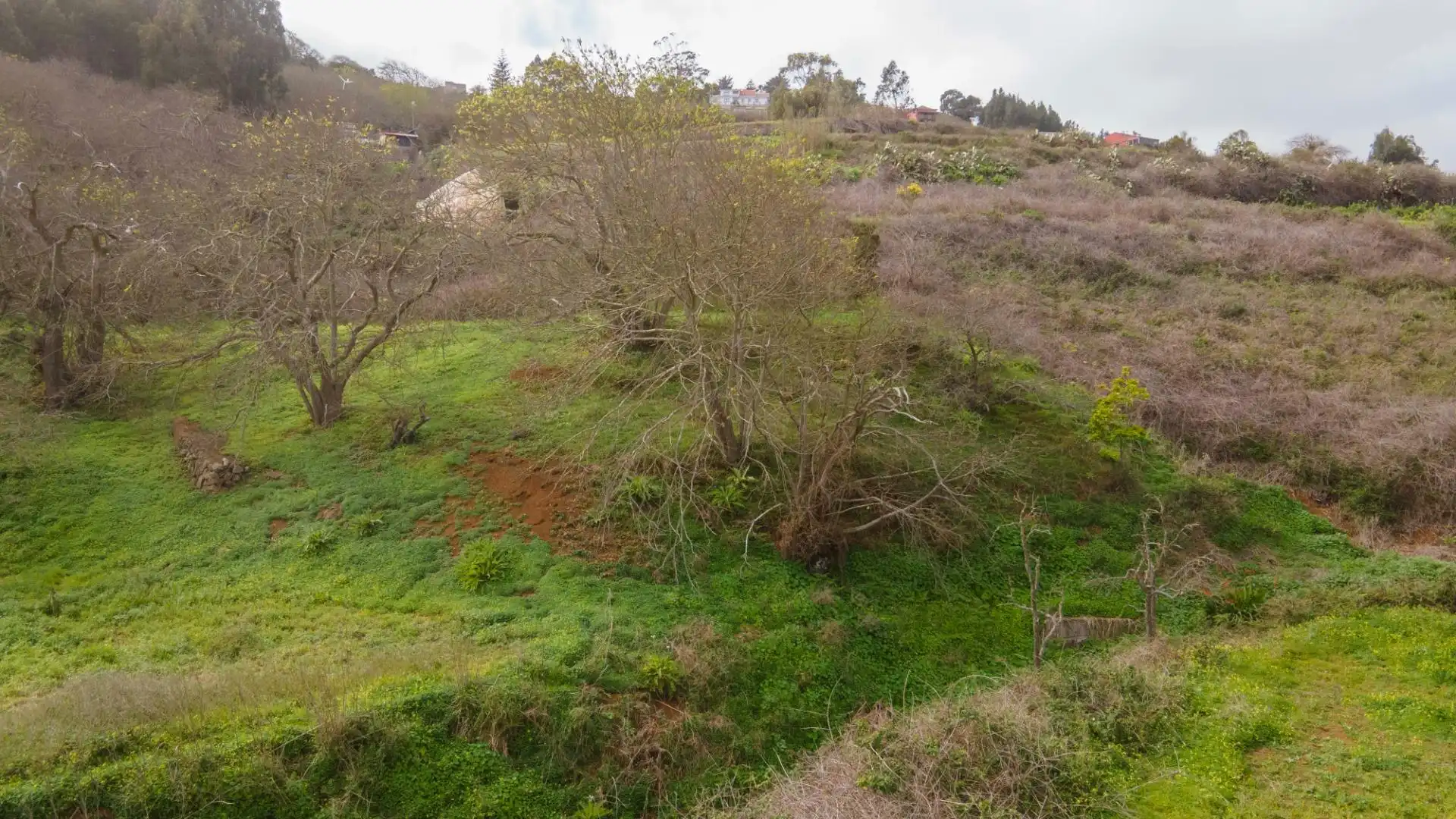 Rustikales Grundstück zum Verkauf in La Esperanza 17, imagen 39