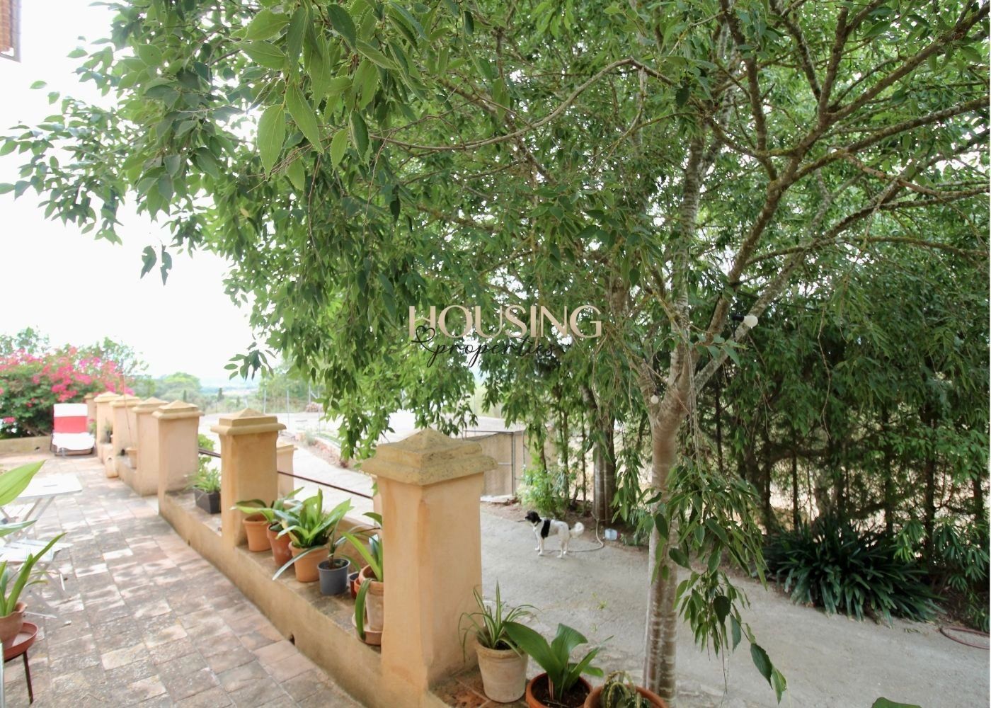 Vista exterior de Casa o xalet en venda en Costitx amb Jardí privat, Terrassa i Balcó