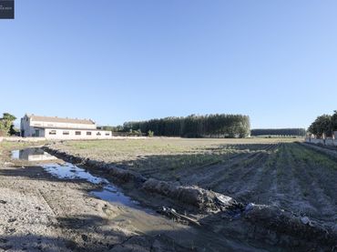 Maison à vendre à Fuente Vaqueros