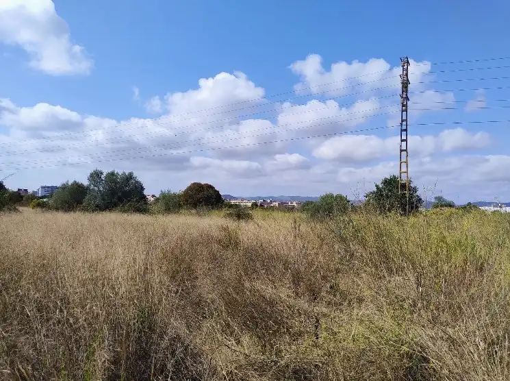 Terreno rustico in vendita a Este, imagen 3