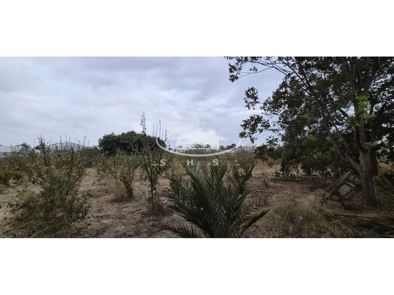 Terreno rustico in vendita a Calle Real de Chapitel, imagen 10