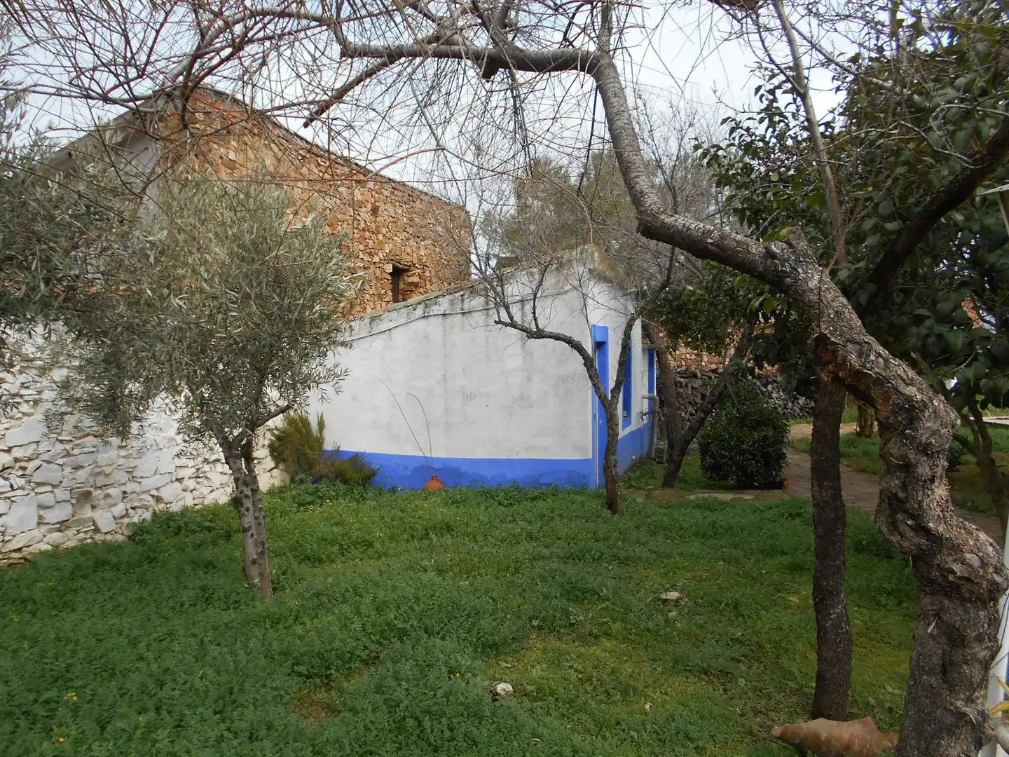 Vista exterior de Casa adosada en venta en Brazatortas con Calefacción, Jardín privado y Piscina