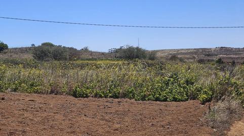 Foto 3 de Terreny de lloguer a Camino Ladera la Pintora, 1, La Esperanza - Llano del Moro, El Rosario