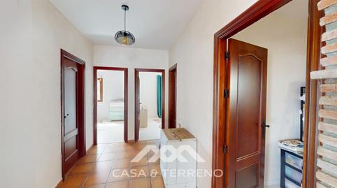 Photo 5 of House or chalet for sale in Diseminado Polígono 4 Parcela, Arenas, Málaga