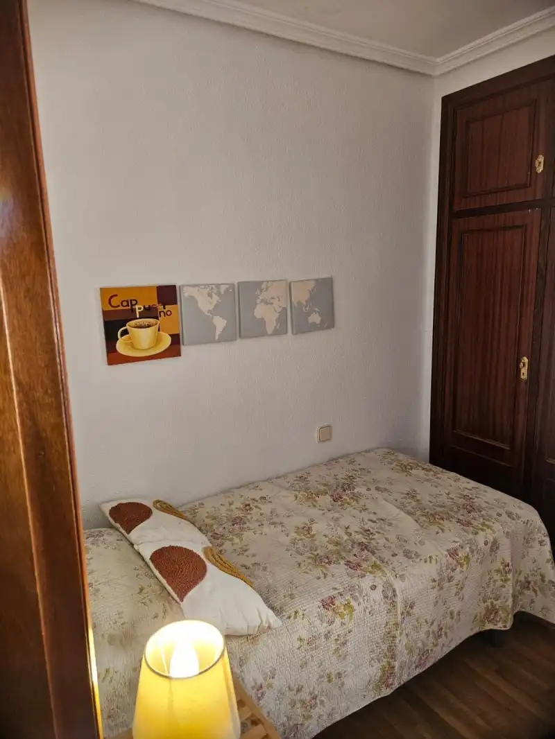 Flat with garden to rent in Casco Antiguo, imagen 14