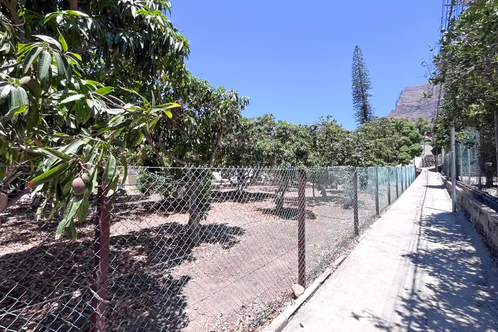 Garden of Residential for sale in Valle Gran Rey, Santa Cruz de Tenerife