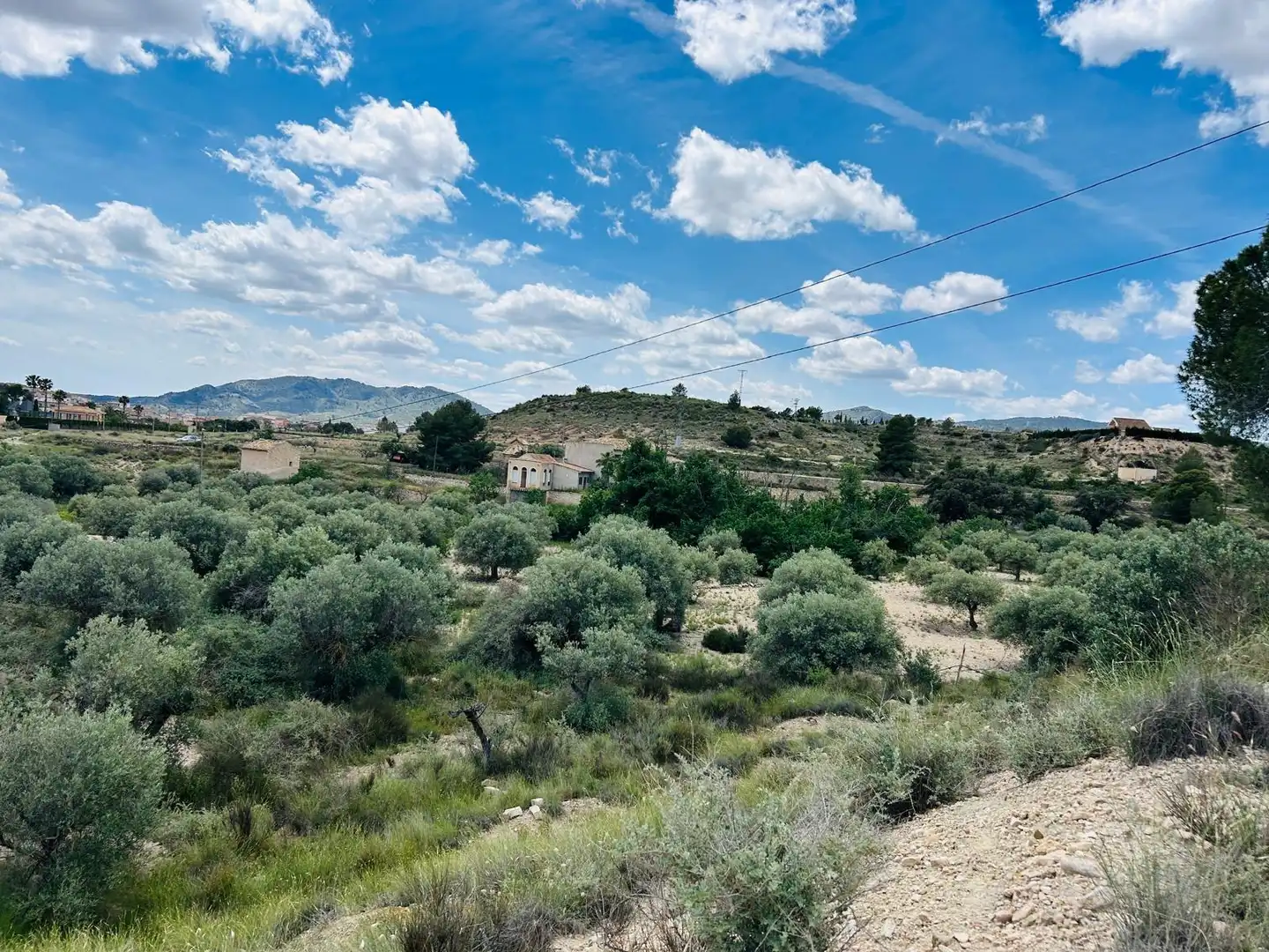 Casa rústica amb jardí en venda a Monóvar  / Monòver, imagen 46