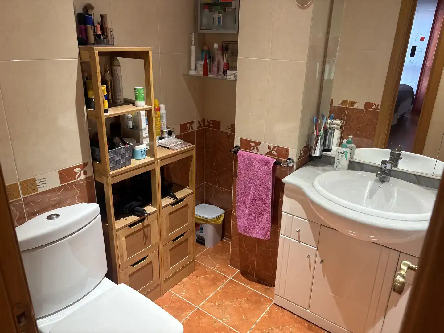 Baño de Piso de alquiler en León Capital  con Trastero y Amueblado