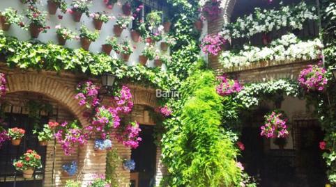 Foto 2 de Casa o xalet en venda a Casco Histórico  - Ribera - San Basilio,  Córdoba Capital