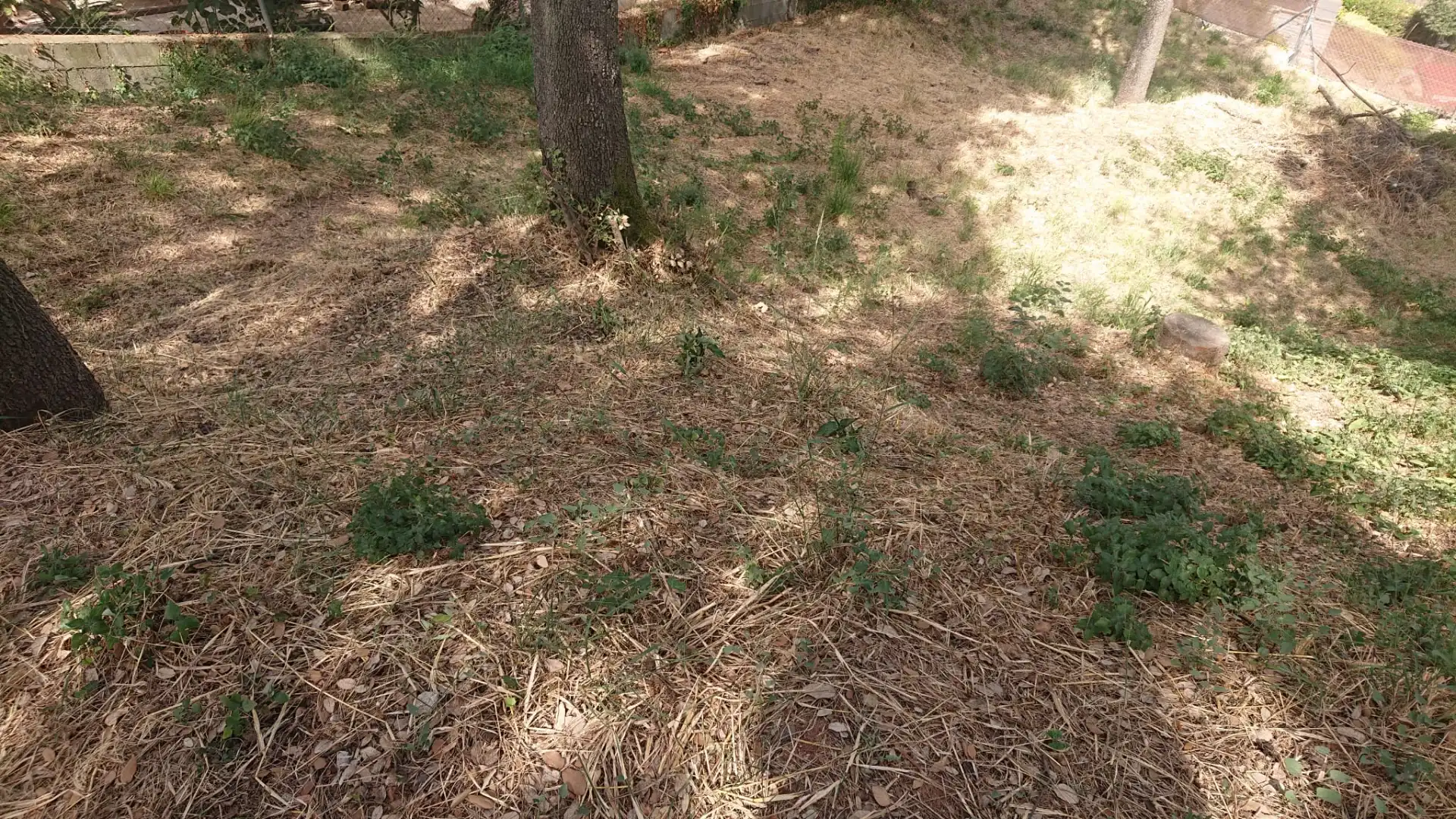 Residential land for sale in Carrer de Torres i Bages, imagen 5