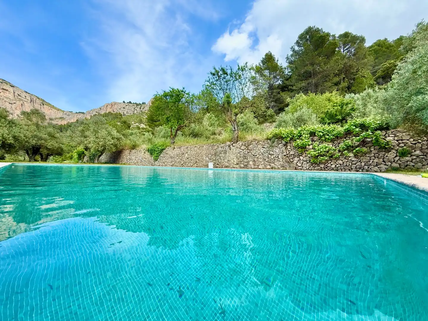 Piscina de Finca rústica en venda en Alcoleja amb Aire condicionat, Jardí privat i Terrassa