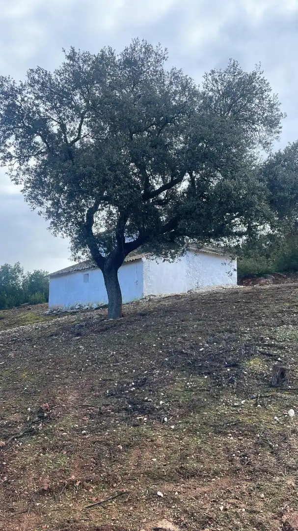 Terreno rustico in vendita a Urbanizacion el Elena S-7 6, imagen 2