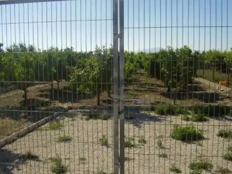 Terreny rústic en venda a Ribera de Molina - Torrealta, imagen 7