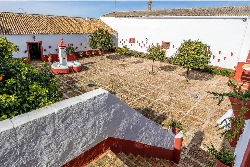 Casa rústica amb terrassa en venda a Carretera Guadajoz, imagen 28