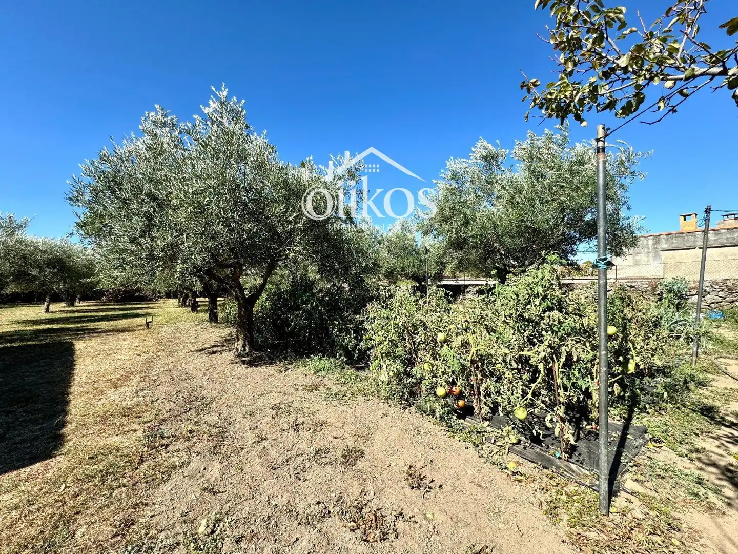Houses for sale in San Felices de los Gallegos  with Heating, Parquet flooring and Swimming Pool