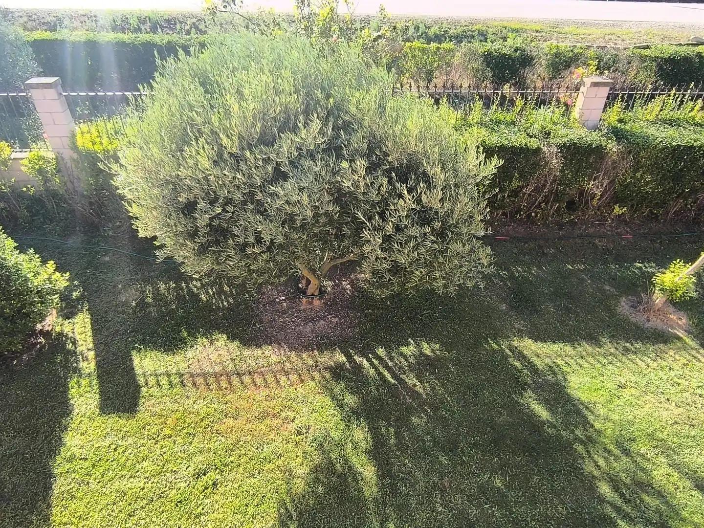 Garden of Houses for sale in Fresno de Río Tirón  with Heating, Private garden and Terrace