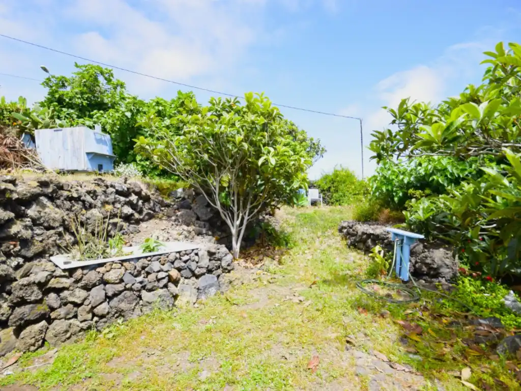 Finca rústica en venda en Garachico