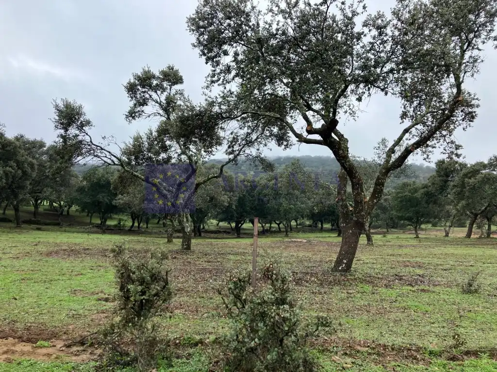 Casa o chalet en venta en Herguijuela