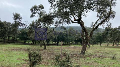 Foto 3 de Casa o xalet en venda a Herguijuela, Cáceres