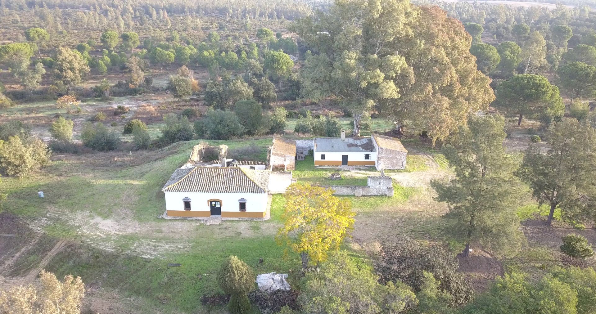 Exterior view of Country house for sale in Almonte