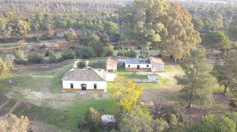 Foto 4 de Finca rústica en venda a N/a, -1, Almonte ciudad, Almonte