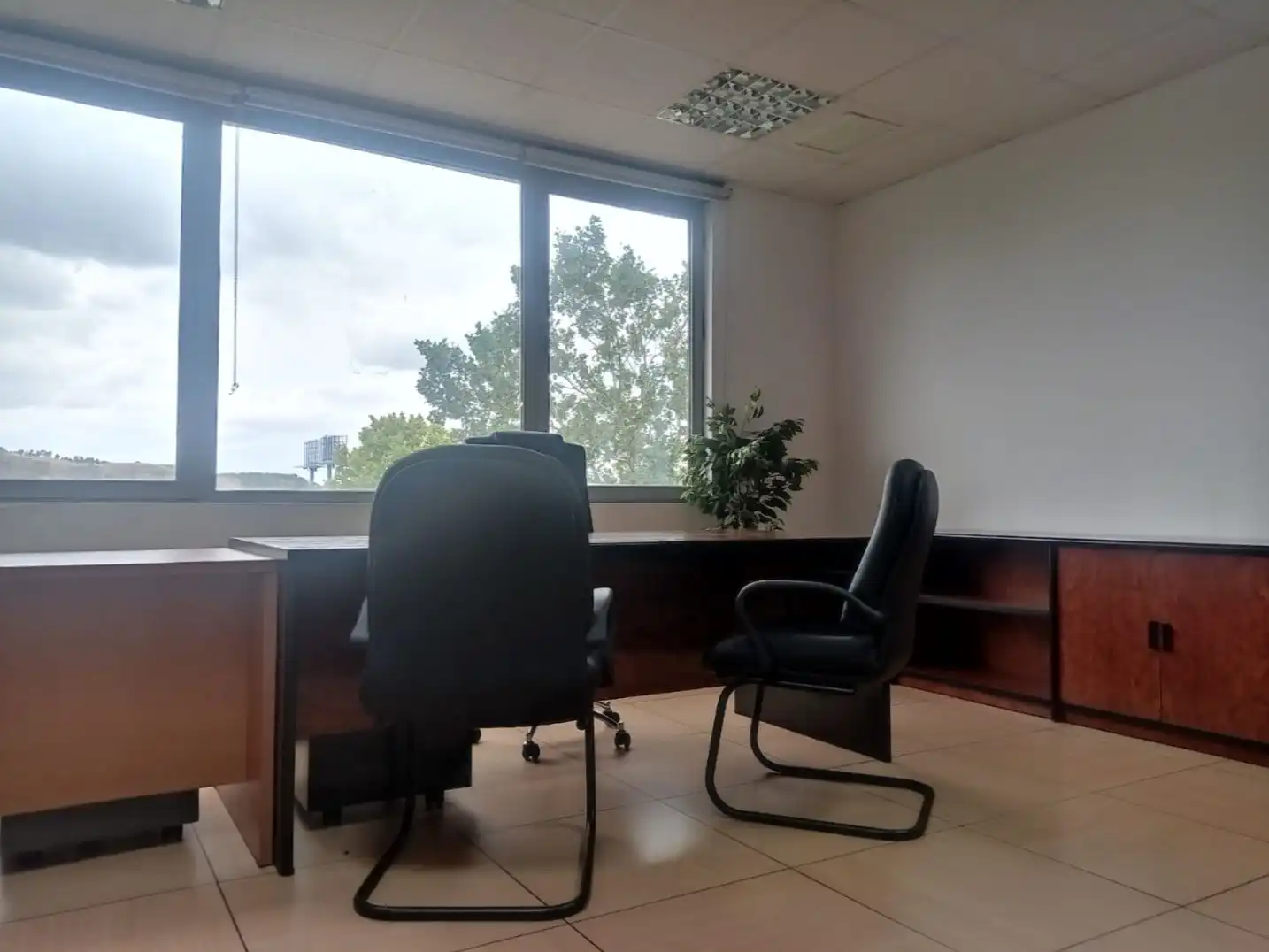 Oficina de lloguer a Calle Mariano Barbacid 5, imagen 7