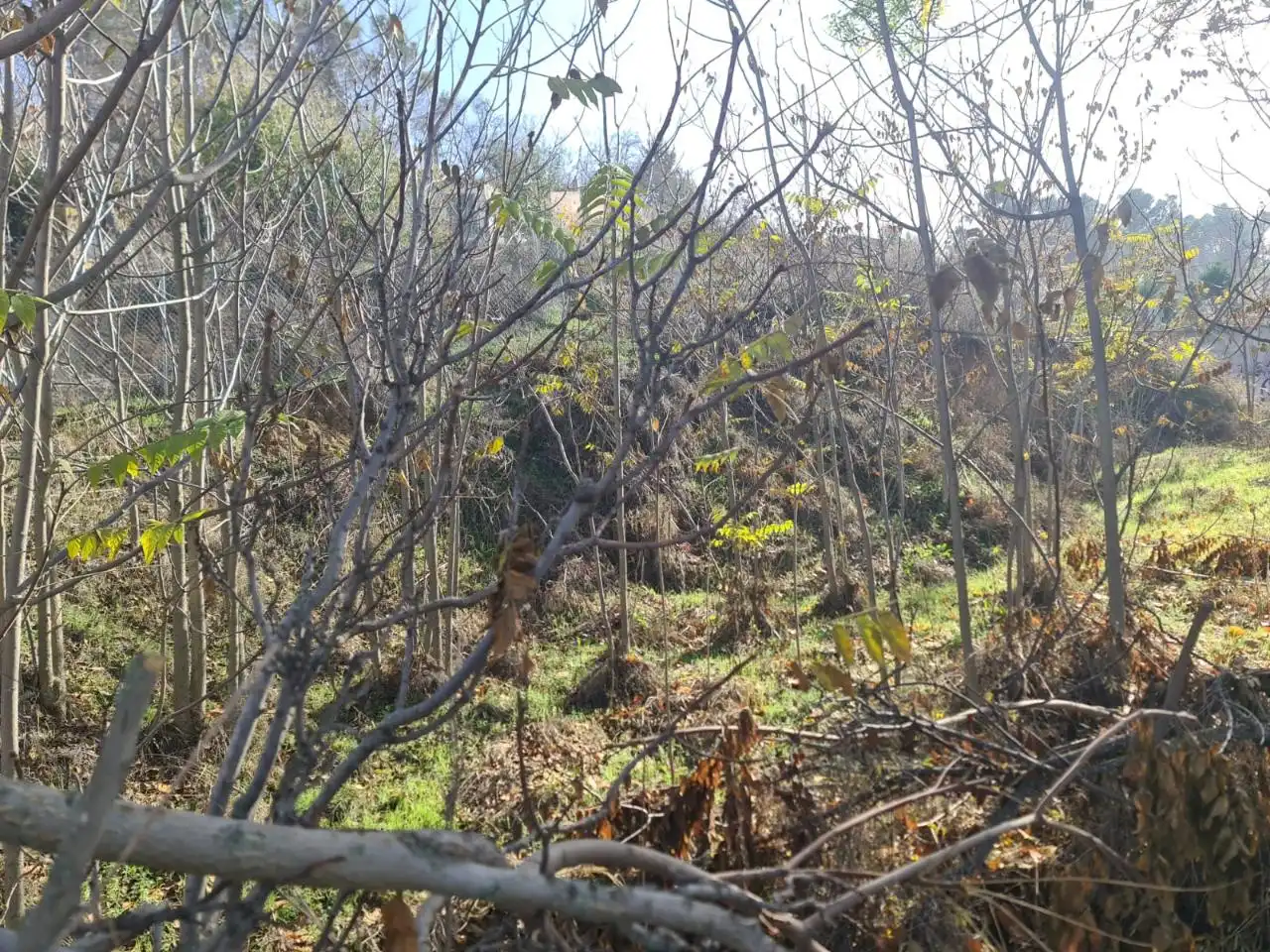 Residential land for sale in Calle de José Antonio, imagen 4