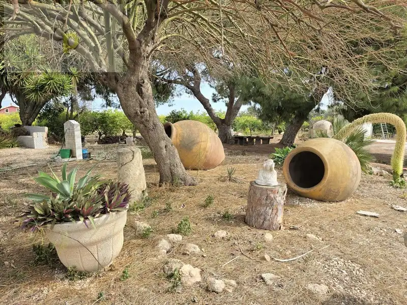 Jardí de Casa o xalet en venda en Elche / Elx amb Jardí privat, Terrassa i Traster